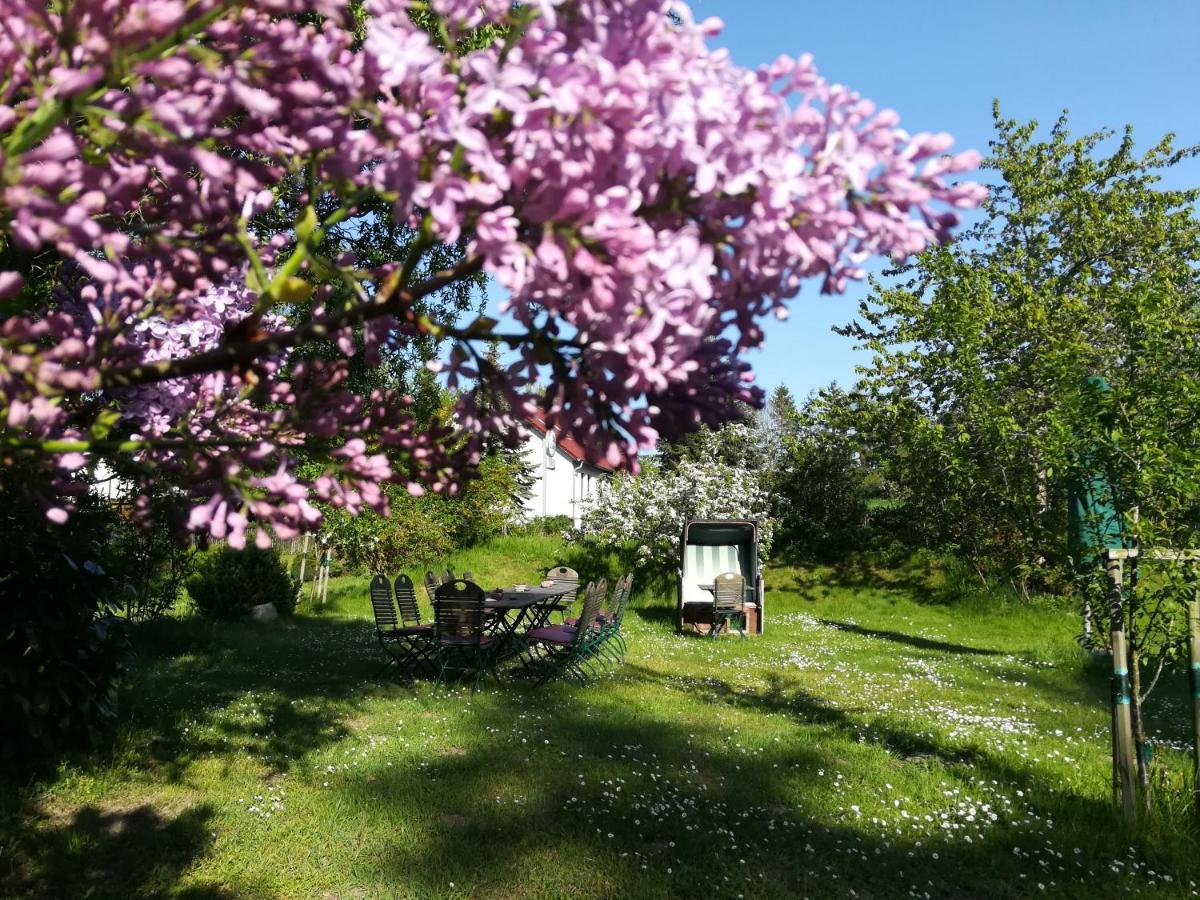 Wirtshaus Neuenkirchen Hotel Neuenkirchen auf Rugen Buitenkant foto